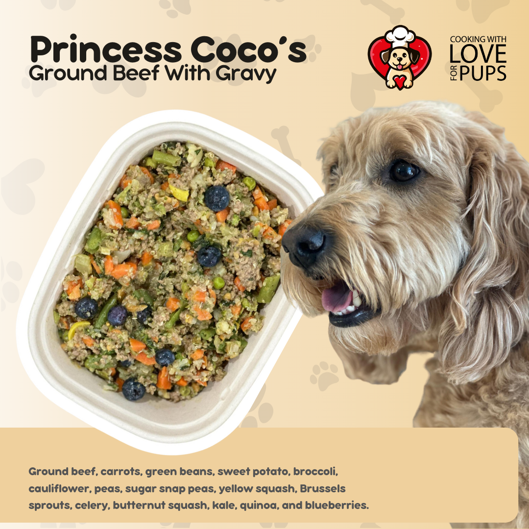 Princess Coco's Ground Beef With Gravy